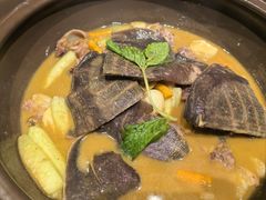 黄焖甲鱼-王捌小院(红花坡店)