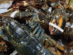 -海玥荟海鲜姿造自助餐厅(欧罗巴广场店)