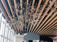 大堂-Seesaw Coffee(朝阳大悦城店)