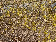 -天津东丽湖风景区