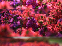 -玄武湖景区-情侣园游乐场