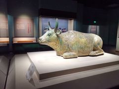 -宁夏博物馆