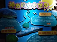 -石家庄海洋公园