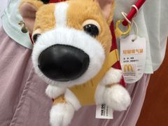 -麦当劳(湖光北街店)