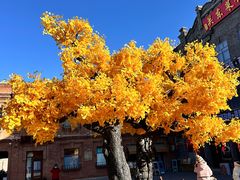 -中华巴洛克风情街