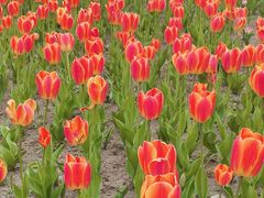 -长春公园(普阳街道)