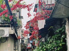 -荔園 LaiYuen