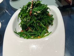 巧拌草原鲜沙葱-煲煲好(朝阳门店)