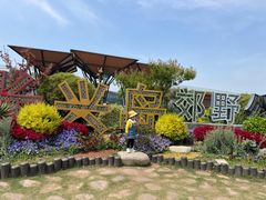 -上海长兴岛郊野公园