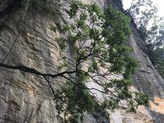 -重庆云阳龙缸景区