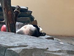 -宁波野生动物园