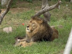 -西霞口神雕山野生动物世界