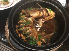 -金龙寨(解西店)