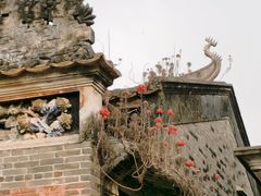 -开平碉楼文化旅游区马降龙景区