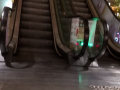 -汤泉良子(金源店)