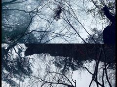 -塔云山