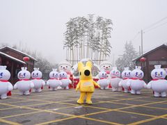 -少华山国家森林公园