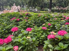 -常州古运河南大街文化旅游区-人民公园