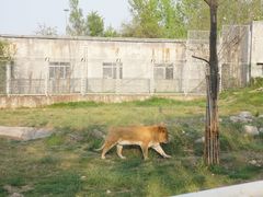 -西安秦岭野生动物园