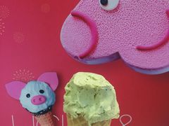 -野人先生现做冰淇淋(北京环宇荟店)