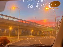-贡湖湾湿地公园