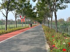 -上海长兴岛郊野公园