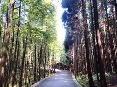 -山王坪喀斯特国家生态公园