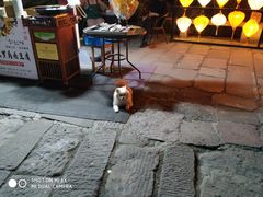 -黎阳老街