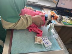 -派美特宠物医院·核磁CT·骨科肿瘤·疑难转诊(沈农禾丰店)