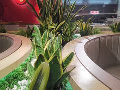 -蜀滋香鲜鱼美蛙火锅(339店)