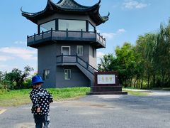 -盐城丹顶鹤湿地生态旅游区