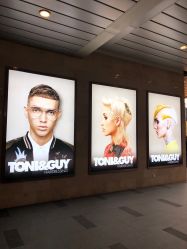 -TONI&GUY