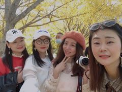 -千年银杏谷文化旅游区
