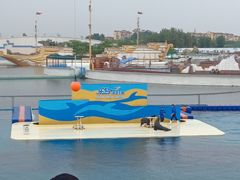 -秦皇岛乐岛海洋王国