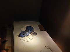 -鹤祥宫·影院足道·SPA连锁(鸿尊布吉店)