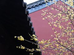 -钱王祠
