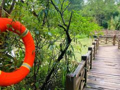 -桤木河湿地公园