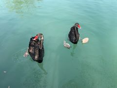 -长兴太湖图影湿地文化园