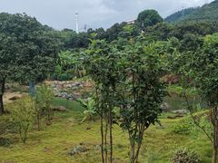 -泉州海丝野生动物世界