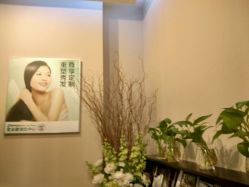 -史云逊养发护发