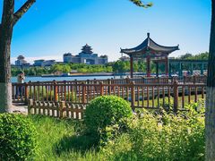 -莲花池公园