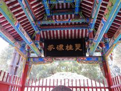 -武侯墓风景区