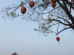 -化三驴肉汤(金明东街店)