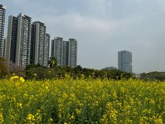-光明小镇欢乐田园