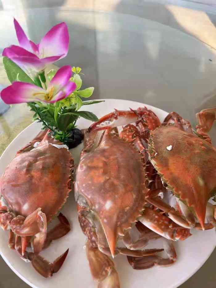 戴河香地方名吃海鲜大馅蒸饺-"来昌黎就应该吃海鲜,可惜家里人有人不