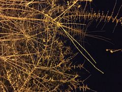 iphone_upload_pic-雕刻时光咖啡馆(交大店)