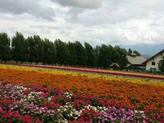 -富田农场