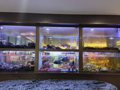 -南海渔村(珠江新城店)