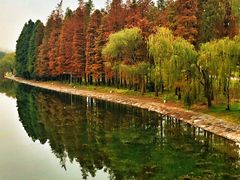 -东方绿舟景区