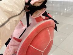 -哈尔滨热雪奇迹